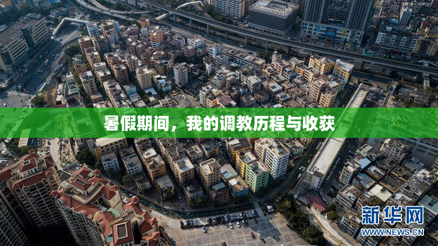 暑假期间，我的调教历程与收获