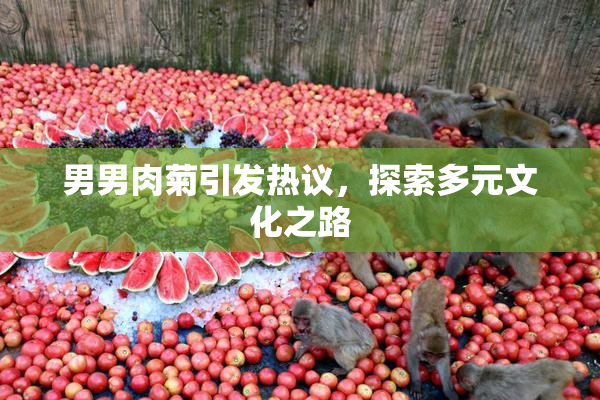 男男肉菊引发热议，探索多元文化之路
