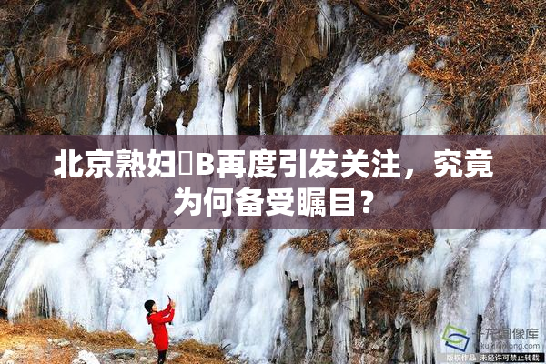 北京熟妇槡B再度引发关注，究竟为何备受瞩目？