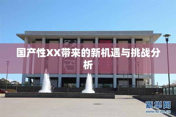 国产性XX带来的新机遇与挑战分析