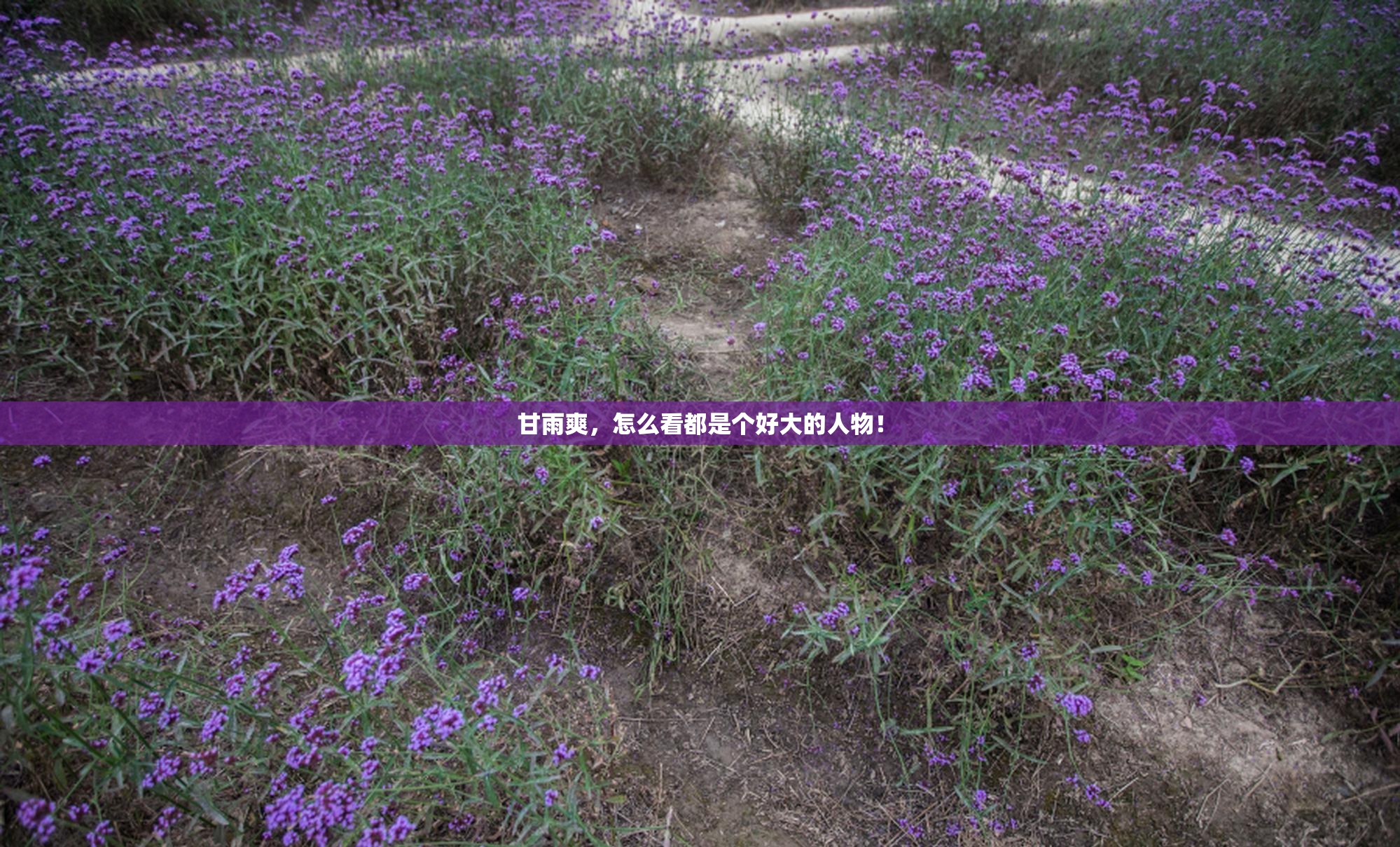甘雨爽，怎么看都是个好大的人物！