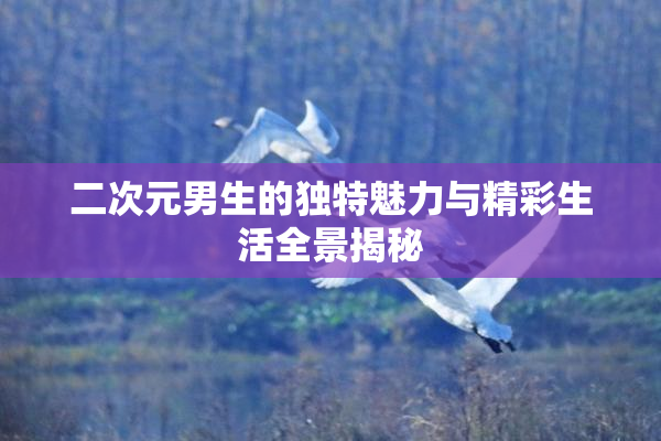二次元男生的独特魅力与精彩生活全景揭秘