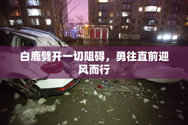 白鹿劈开一切阻碍，勇往直前迎风而行