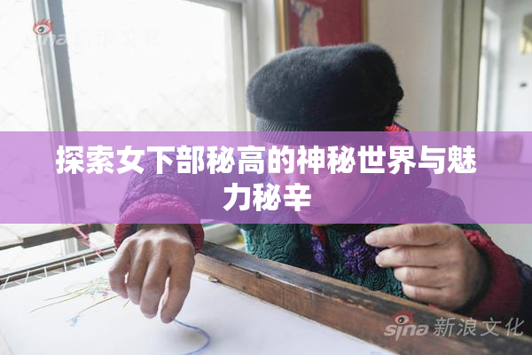 探索女下部秘高的神秘世界与魅力秘辛