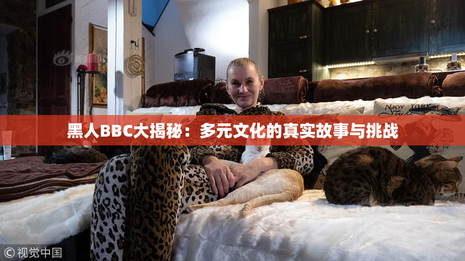 黑人BBC大揭秘：多元文化的真实故事与挑战