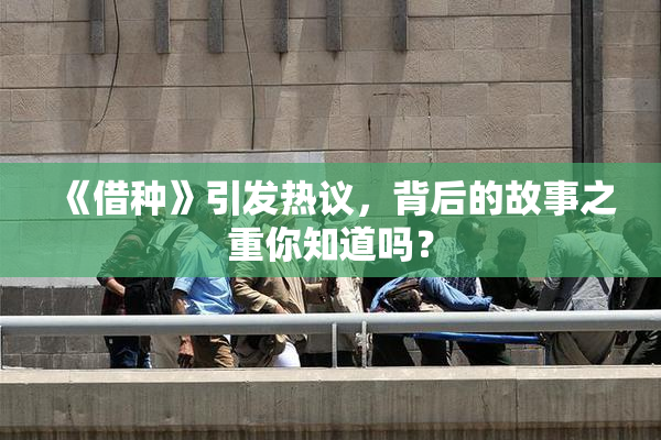 《借种》引发热议，背后的故事之重你知道吗？