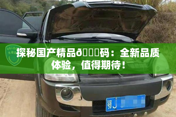 探秘国产精品🈚码：全新品质体验，值得期待！