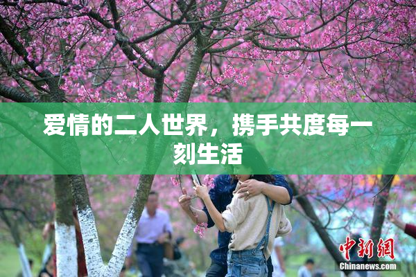 爱情的二人世界，携手共度每一刻生活