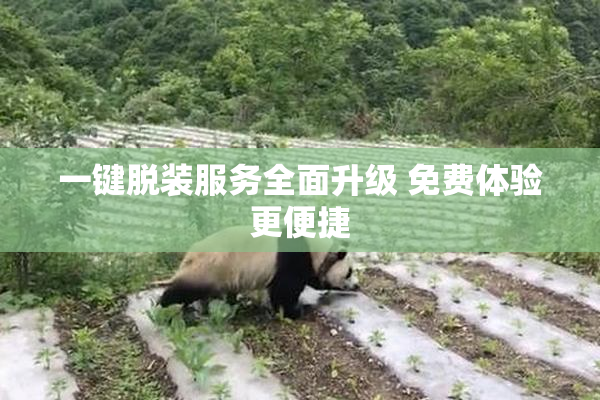 一键脱装服务全面升级 免费体验更便捷