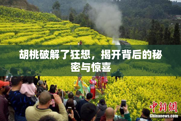 胡桃破解了狂想，揭开背后的秘密与惊喜