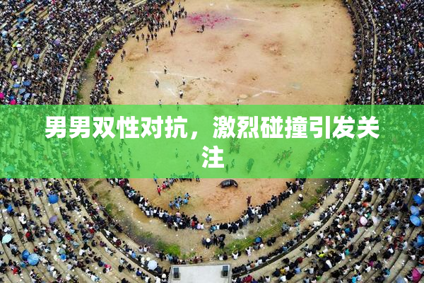 男男双性对抗，激烈碰撞引发关注