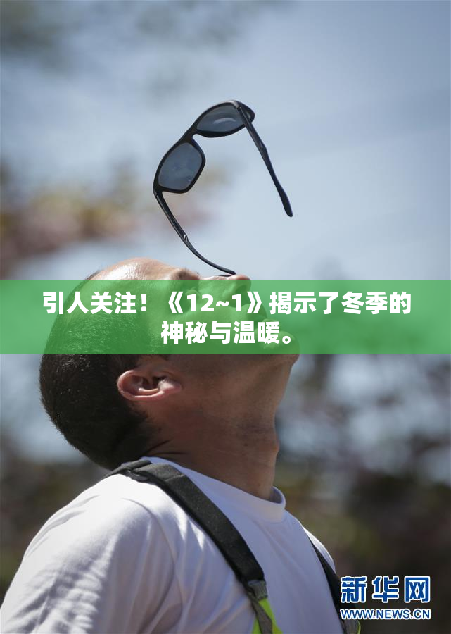 引人关注！《12~1》揭示了冬季的神秘与温暖。