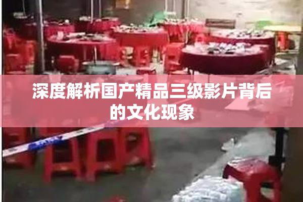 深度解析国产精品三级影片背后的文化现象