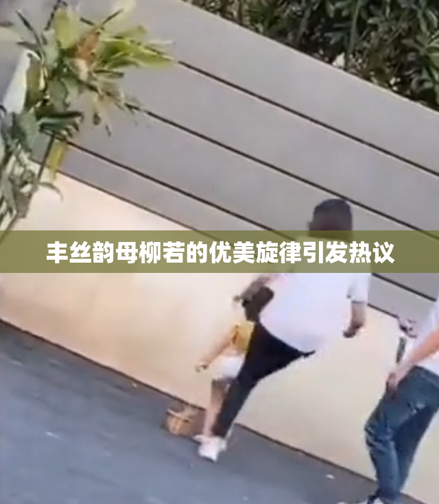 丰丝韵母柳若的优美旋律引发热议