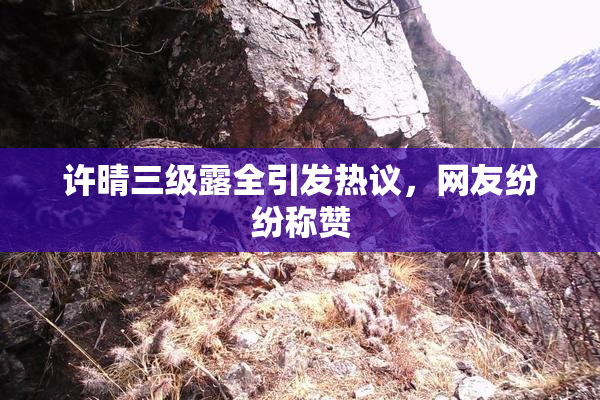 许晴三级露全引发热议，网友纷纷称赞