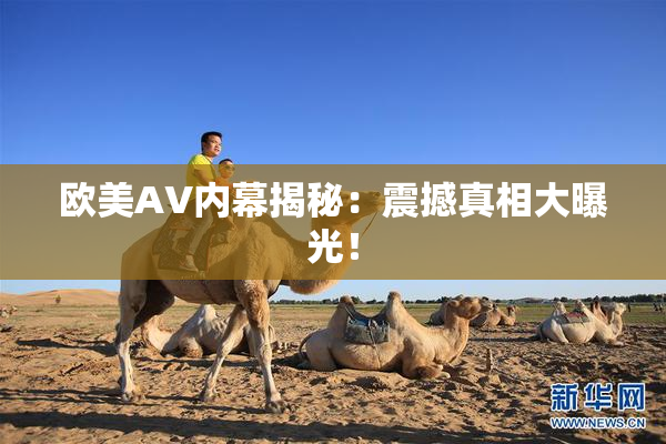 欧美AV内幕揭秘：震撼真相大曝光！