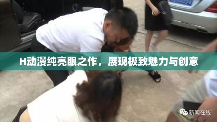 H动漫纯亮眼之作，展现极致魅力与创意