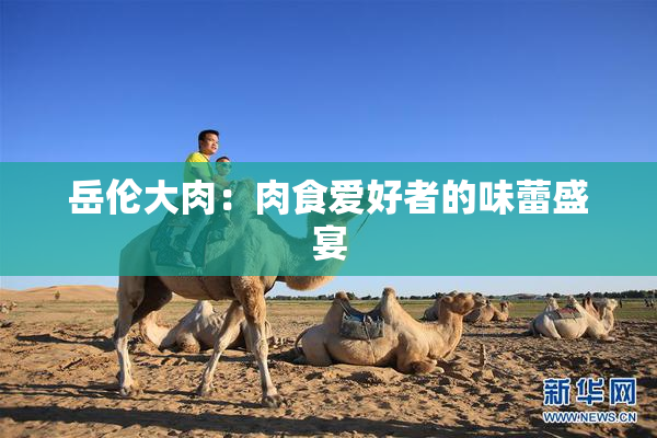 岳伦大肉：肉食爱好者的味蕾盛宴