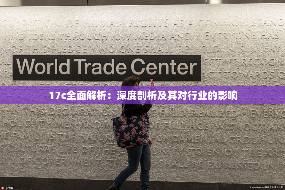 17c全面解析：深度剖析及其对行业的影响