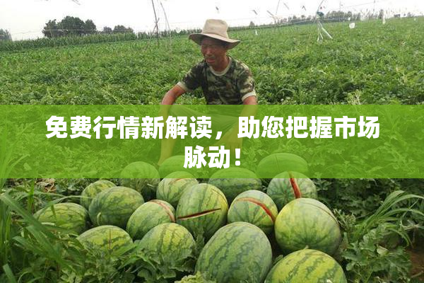 免费行情新解读，助您把握市场脉动！