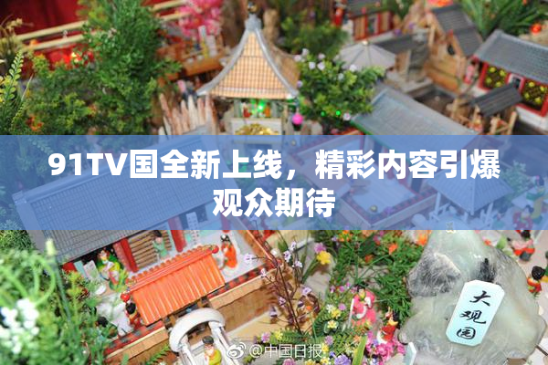 91TV国全新上线，精彩内容引爆观众期待