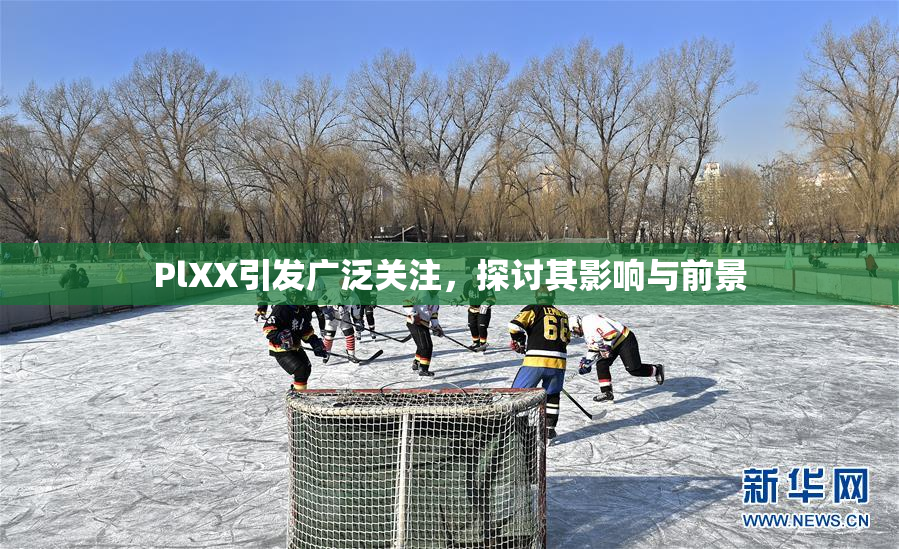 PlXX引发广泛关注，探讨其影响与前景