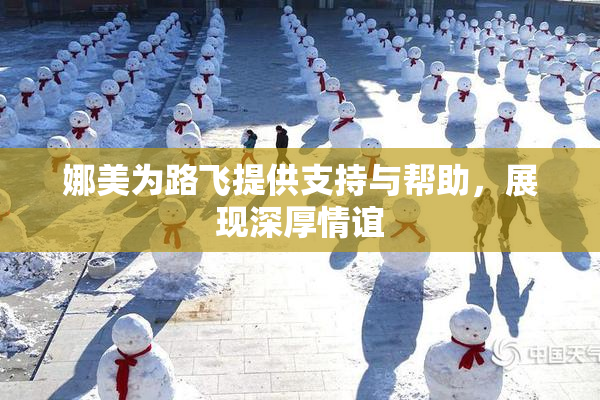 娜美为路飞提供支持与帮助，展现深厚情谊