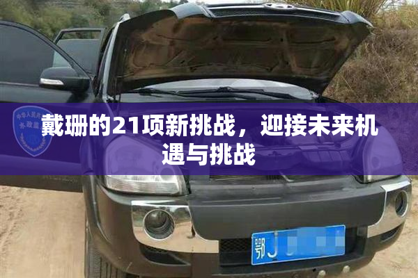 戴珊的21项新挑战，迎接未来机遇与挑战