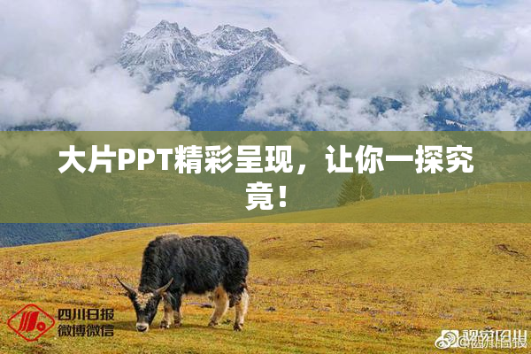大片PPT精彩呈现，让你一探究竟！