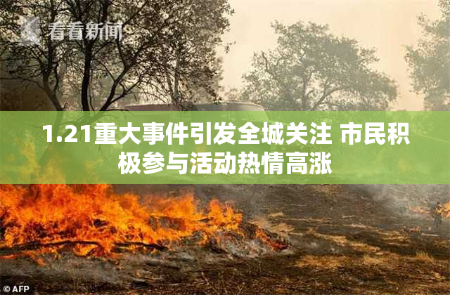 1.21重大事件引发全城关注 市民积极参与活动热情高涨