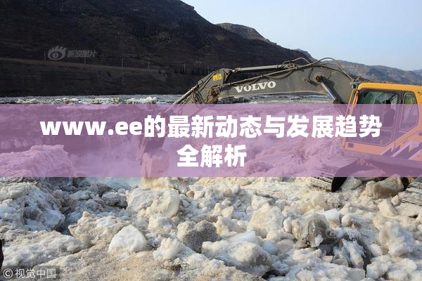 www.ee的最新动态与发展趋势全解析