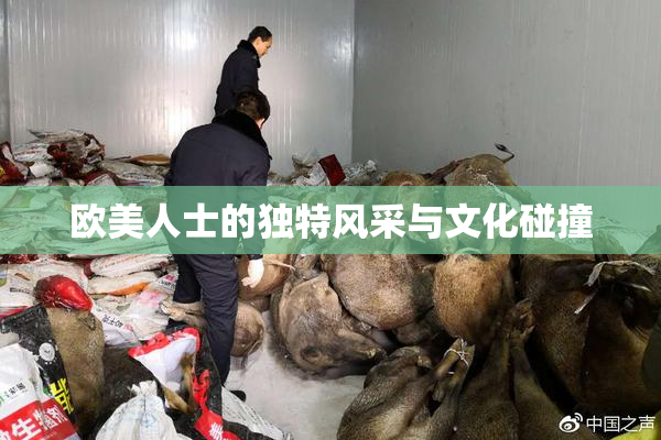 欧美人士的独特风采与文化碰撞