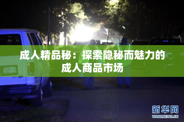 成人精品秘：探索隐秘而魅力的成人商品市场