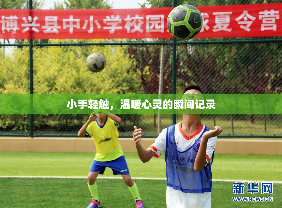 小手轻触，温暖心灵的瞬间记录