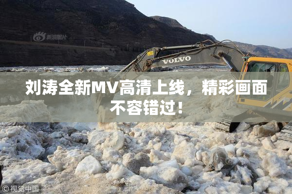 刘涛全新MV高清上线，精彩画面不容错过！
