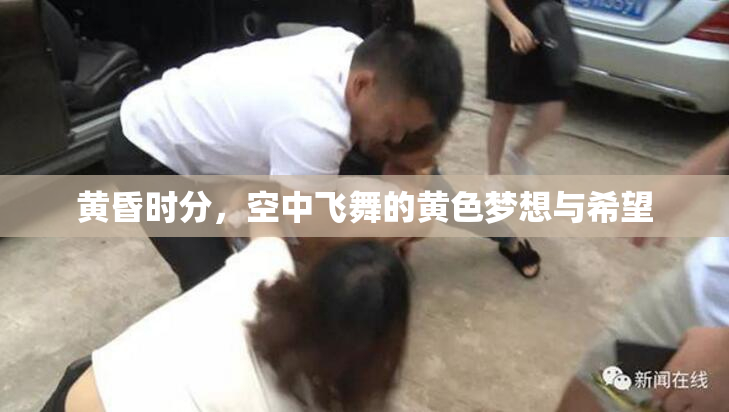 黄昏时分，空中飞舞的黄色梦想与希望