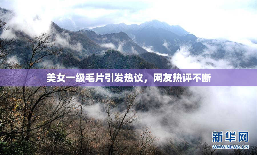 美女一级毛片引发热议，网友热评不断