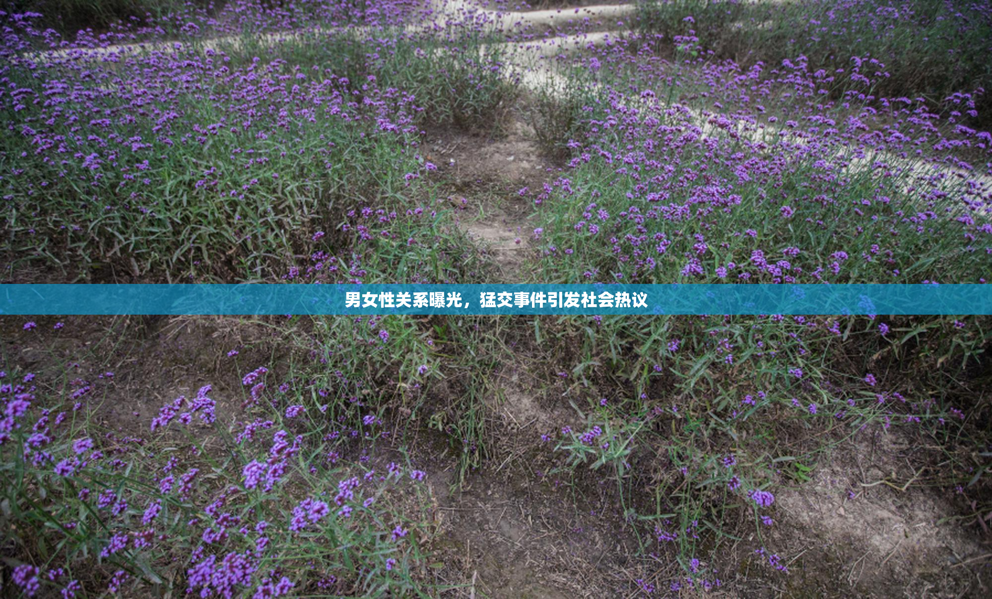 男女性关系曝光，猛交事件引发社会热议