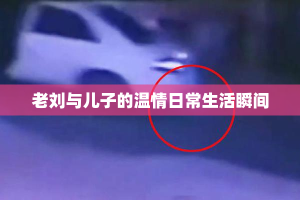 老刘与儿子的温情日常生活瞬间