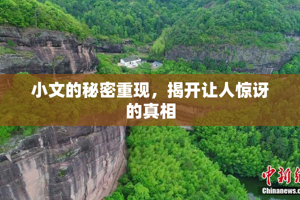 小文的秘密重现，揭开让人惊讶的真相