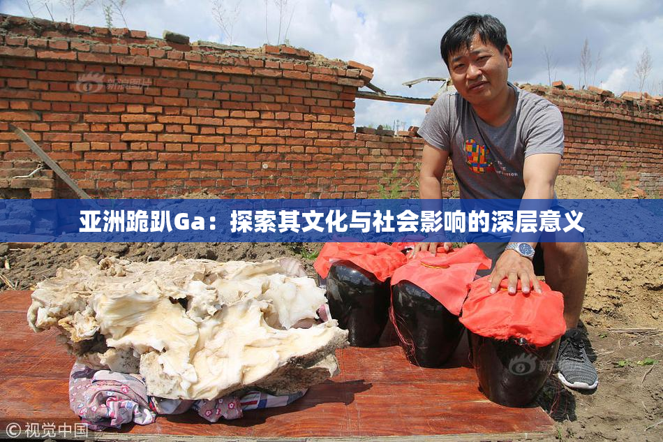 亚洲跪趴Ga：探索其文化与社会影响的深层意义