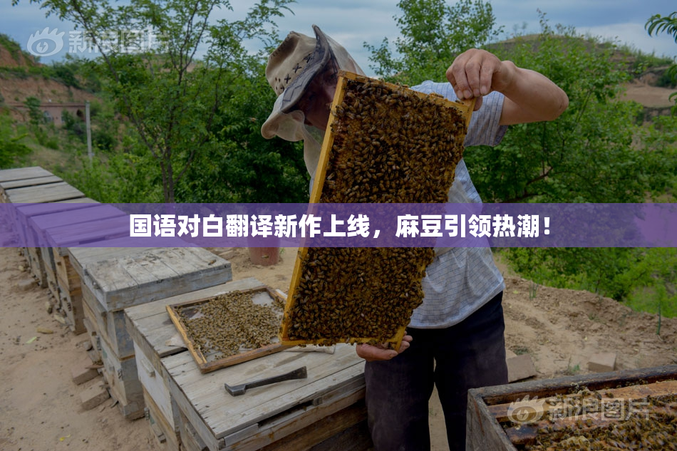 国语对白翻译新作上线，麻豆引领热潮！