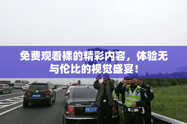 免费观看裸的精彩内容，体验无与伦比的视觉盛宴！