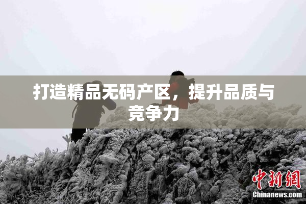 打造精品无码产区，提升品质与竞争力