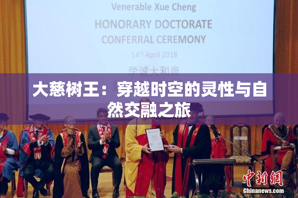 大慈树王：穿越时空的灵性与自然交融之旅
