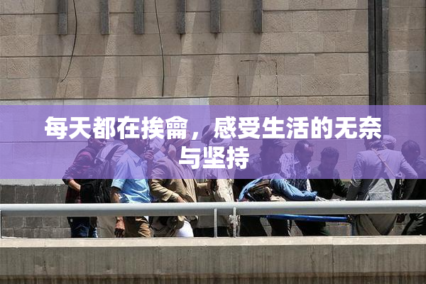 每天都在挨龠，感受生活的无奈与坚持