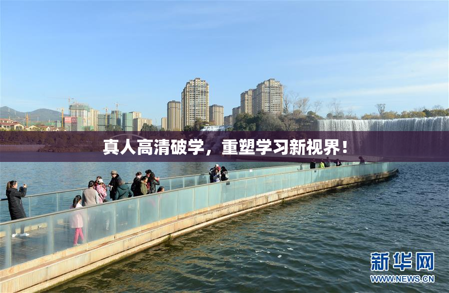 真人高清破学，重塑学习新视界！