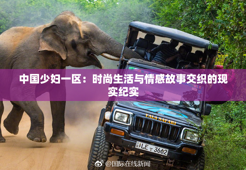 中国少妇一区：时尚生活与情感故事交织的现实纪实