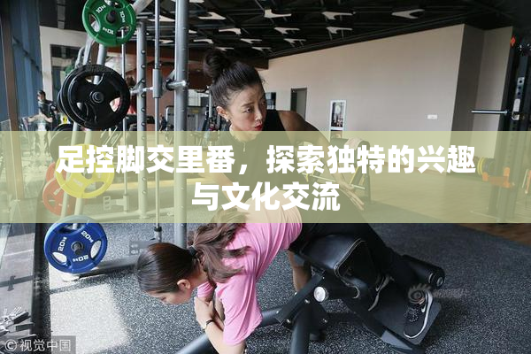 足控脚交里番，探索独特的兴趣与文化交流