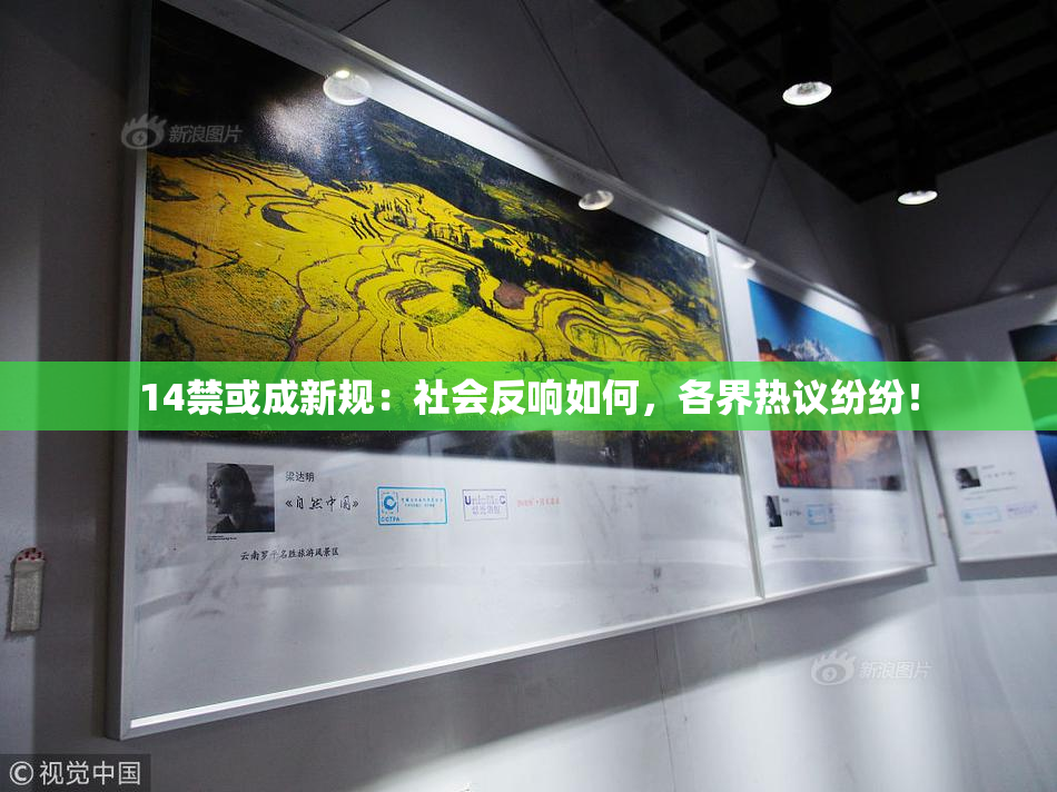 14禁或成新规：社会反响如何，各界热议纷纷！